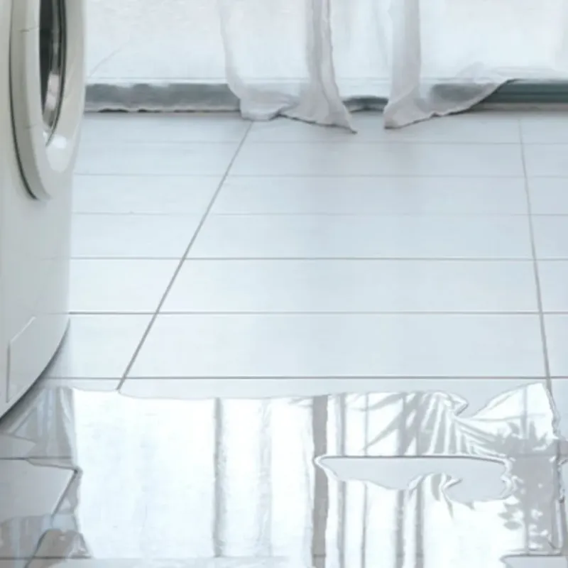 Appliance Leak Cleanup in Lake Michigan Beach, MI
