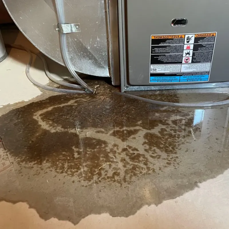 Pipe Burst and Leak Restoration in Lake Michigan Beach, MI