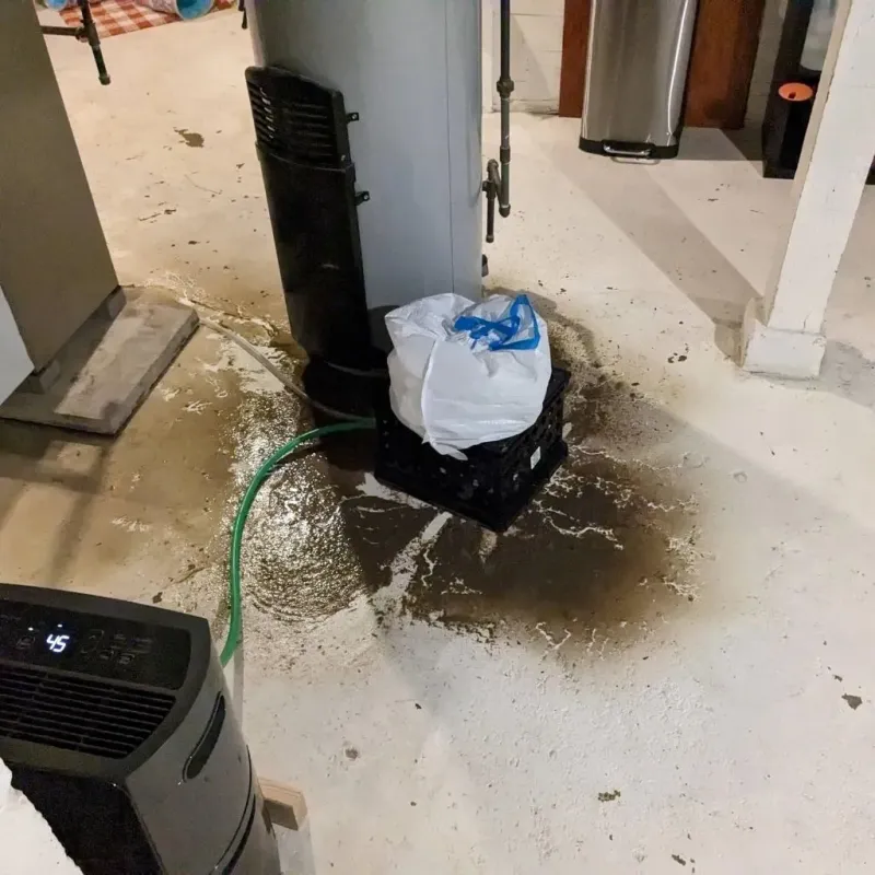 Sewage Backup Cleanup Service in Lake Michigan Beach, MI